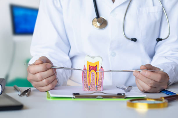 Best Weekend Emergency Dentist in Lone Star, TX